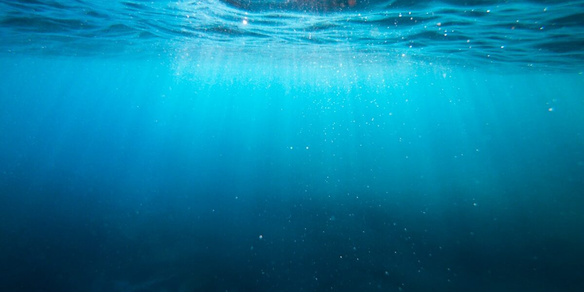 Secure Adventures with Bearing Buddy Caps