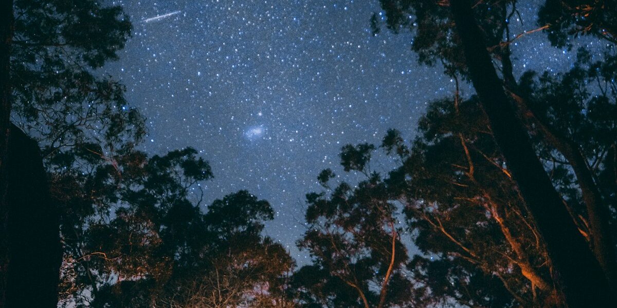 Overcoming Hydrolock: Ensuring Safe Engine Recovery