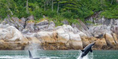 Alaska coastal waters scenery